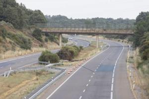 太阳报：若塔车祸地点常有野生动物出没，这可能是导致事故的原因